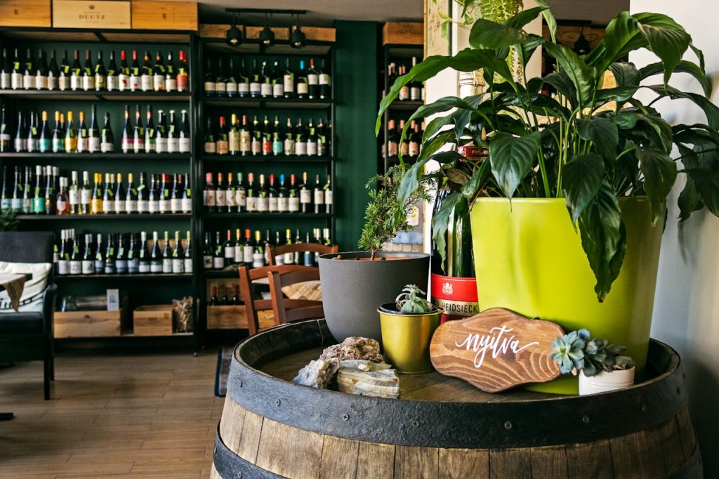 Warm and inviting wine bar with a stylish plant display in Gödöllő, Hungary.