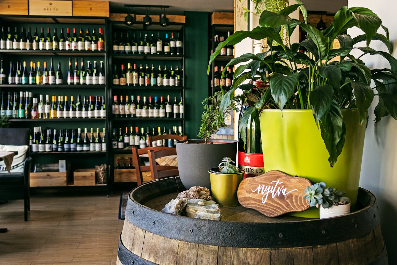 Warm and inviting wine bar with a stylish plant display in Gödöllő, Hungary.